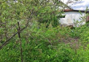 Дом 36м², 1-этажный, участок 6 сот.