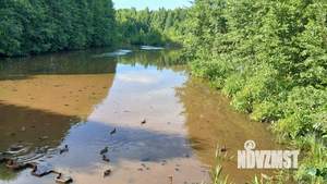 Коттедж 183м², 2-этажный, участок 12 сот.