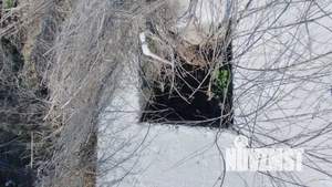 Дом 15м², 1-этажный, участок 6 сот.