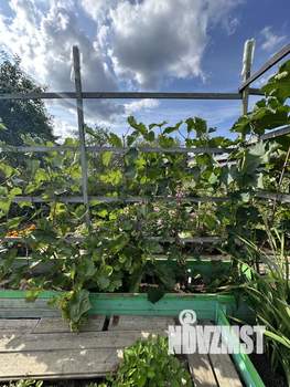 Дом 20м², 1-этажный, участок 6 сот.