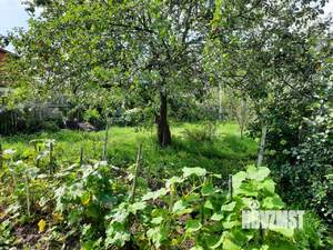 Дом 88м², 2-этажный, участок 6 сот.  