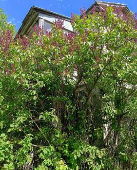 Дом 38м², 2-этажный, участок 5 сот.  