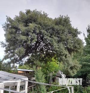 Дом 15м², 1-этажный, участок 5 сот.  