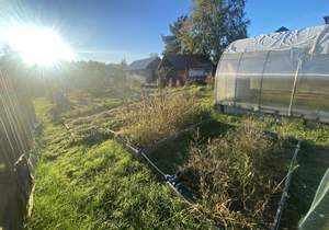 Дом 60м&sup2;, 1-этажный, участок 12 сот.  