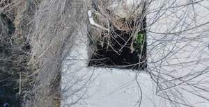 Дом 15м&sup2;, 1-этажный, участок 6 сот.  