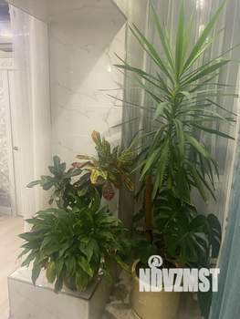 Студия квартира, посуточно, 40м2, 2/5 этаж