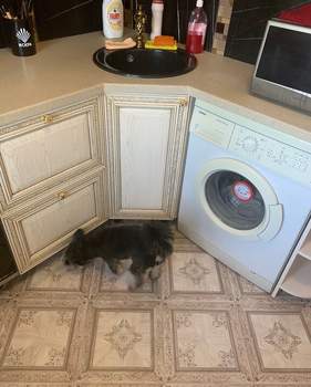 3-к квартира, на длительный срок, 65м2, 3/9 этаж