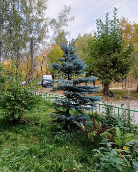 1-к квартира, на длительный срок, 30м2, 1/5 этаж