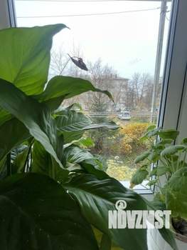 3-к квартира, вторичка, 56м2, 1/5 этаж