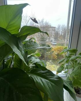 3-к квартира, вторичка, 56м2, 1/5 этаж